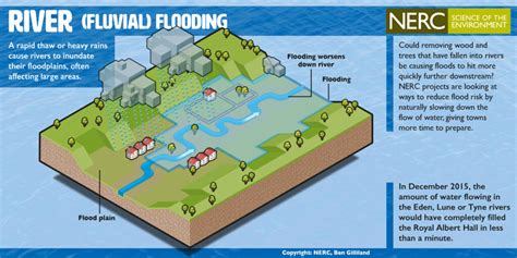 What Are The Causes Of Flooding The Flood Hub