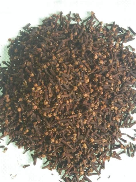 Whole Black Dry Cloves At 530 Kg In Ahmednagar ID 26471615562