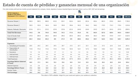 Las Mejores Plantillas Sobre P Rdidas Y Ganancias Mensuales Con