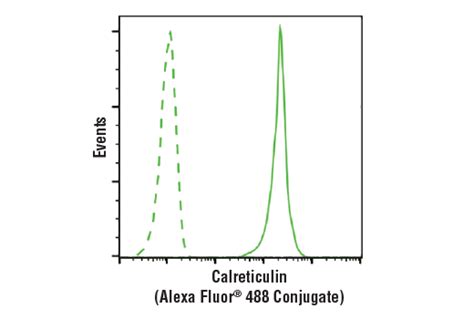 Calreticulin D E Xp Rabbit Mab Alexa Fluor Conjugate Cell