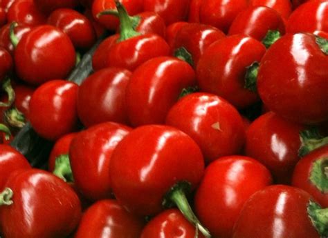 Kalocsai Alacsony Cseresznye Paprika Termeszt Se Kert Szkedj