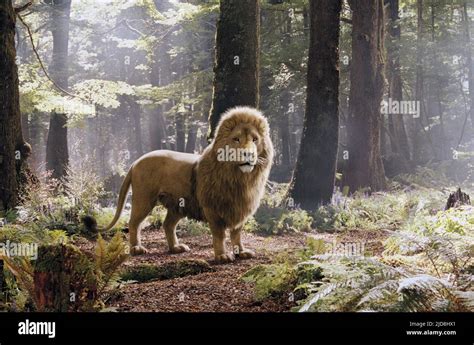 Narnia The Lion The Witch And The Wardrobe Aslan