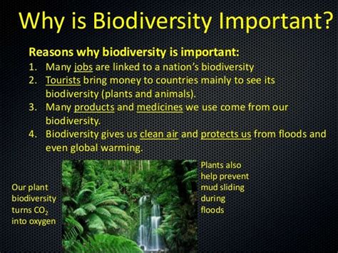 Biodiversity Presentation