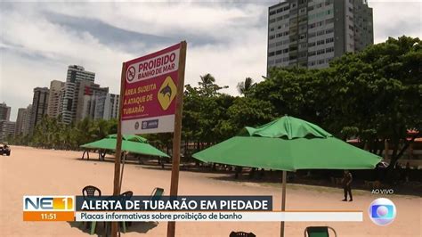 Vídeo Novas placas aviso de proibição de banho de mar são