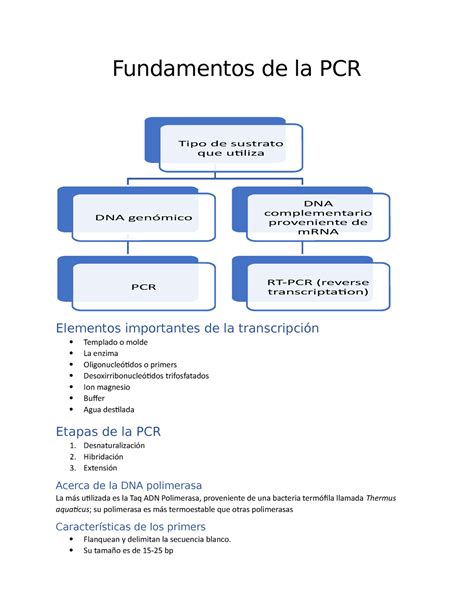 Fundamentos de la PCR Genética UDeG Studocu