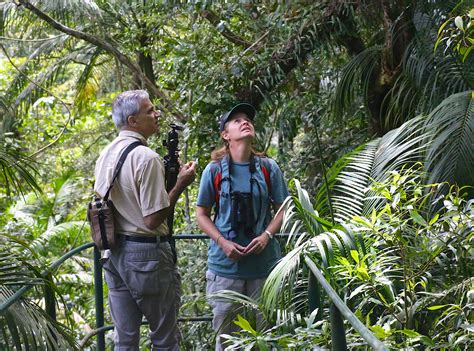 Scientists Work To Help Save The Amazon Rainforest And Its Biodiversity