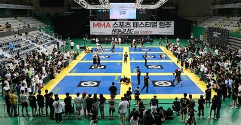 여성폭행 올림픽 아니다 원주 시의원 비난에도 축제로 자리잡은 로드fc Mma 페스티벌 오쎈원주 네이트 스포츠