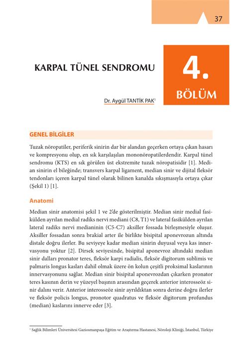 Pdf Karpal T Nel Sendromu