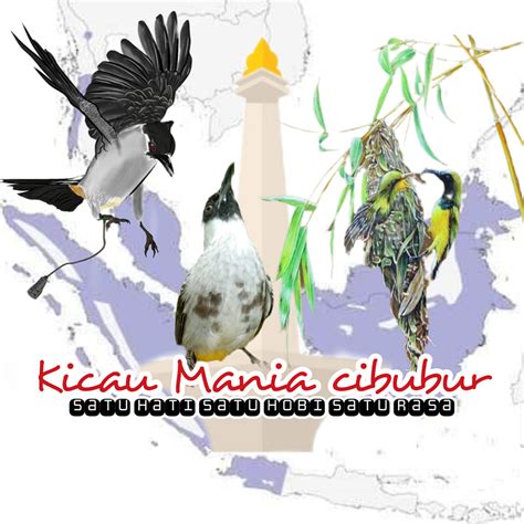 KICAU MANIA cibubur | Facebook