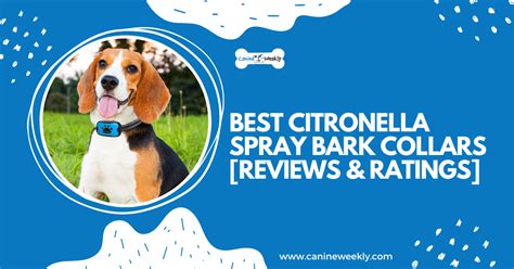 7 Best Citronella Spray Bark Collars [Reviews & Ratings]