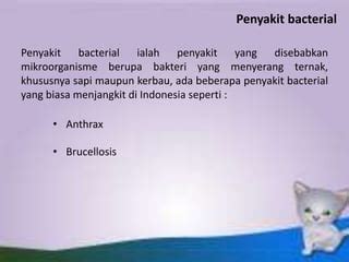 Brucellosis Pptx