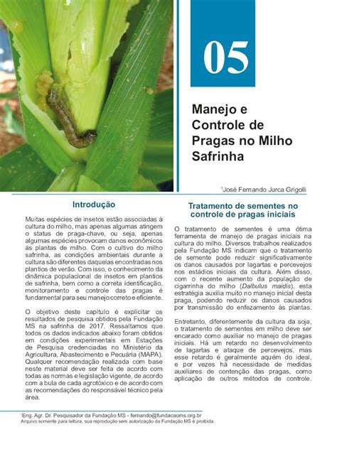 PDF Manejo E Controle De Pragas No Milho Safrinha 2018 5 18 05