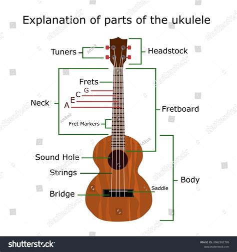 parts  ukulele  oliver howell price blog