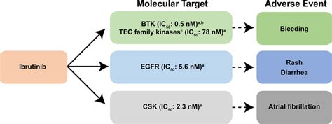 Reported Molecular Targets Of Ibrutinib And Their Associated Adverse