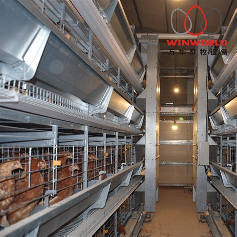 Automatic Equipment Layer Chicken Battery Cage For Poultry Farm China