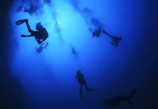 The Great Blue Hole Lighthouse Reef Atoll Snorkel