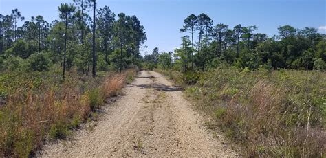 THE 10 BEST Parks Nature Attractions In Panama City Beach Tripadvisor