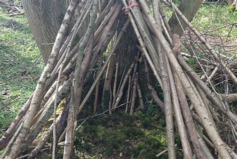 What Is Forest School Badger Wood Adventures