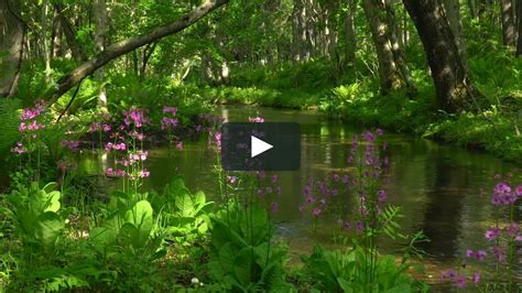 Spring Green On Vimeo