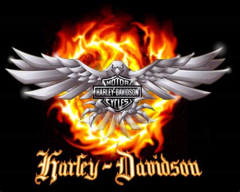 🔥 140 Free Harley Davidson Wallpapers Wallpapersafari