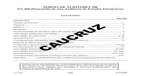 Norma De AuditorÍa 300 Na 300 Planeación De Una Auditoría De Estados