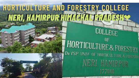 Horticulture And Forestry College Neri Hamirpur Himachal Pradesh Ys