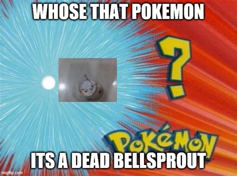 Who Is That Pokemon Imgflip