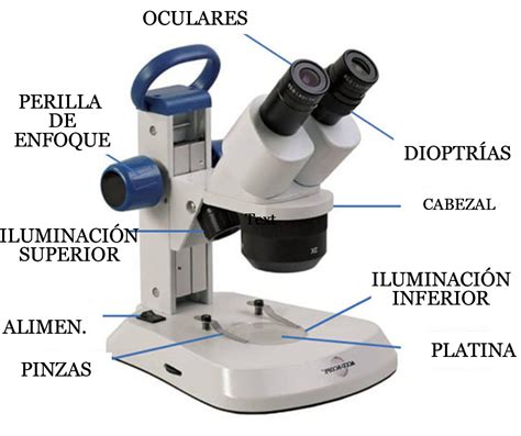 Parte De Um Microsc Pio Librain