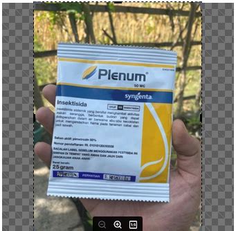 Plenum Wg Gram Insektisida Syngenta Lazada Indonesia