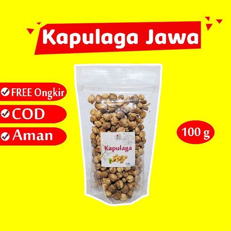 Jual Kapulaga Jawa G Kapol Kering Rempah Jsr Biji Kapolaga Original