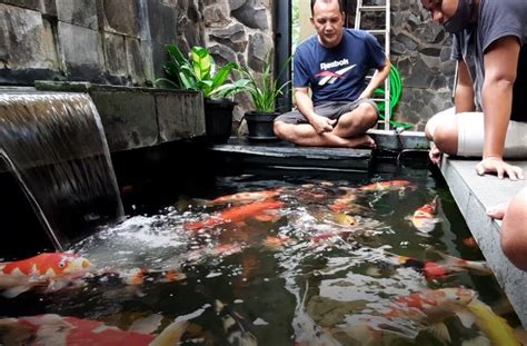 Inspirasi Bikin Kolam Ikan Di Lahan Sempit Tetap Elegan Dan Mewah