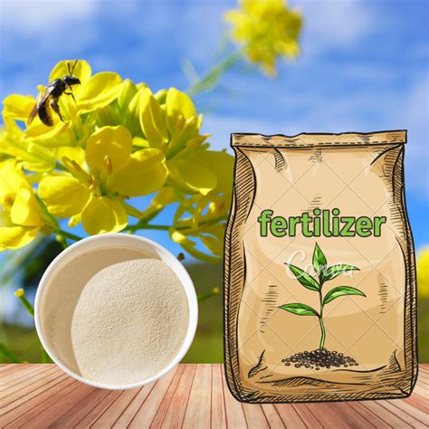 Amino Acid Chelate Manganese Fertilizer Agricultural Promote Seed