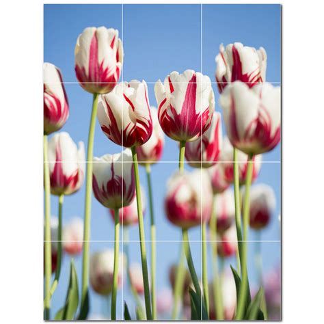 Picture Flowers Photo 6 X 6 Satin Ceramic Decorative Mural Wayfair