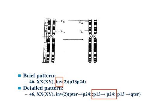 Ppt Medical Genetics Powerpoint Presentation Free Download Id 5183071