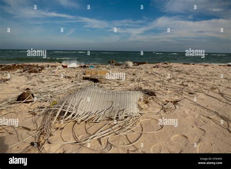 Plastic Bag Pollution Tree Hi Res Stock Photography And Images Alamy