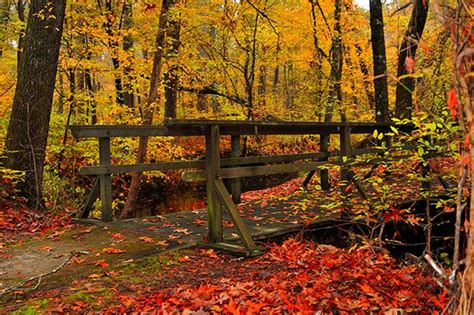 Natchez Trace Parkway Fall Foliage Kosciusko Mississippi