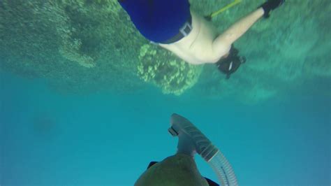 Oahu Hawaii Spearfishing Makaha Oct 2015 Youtube