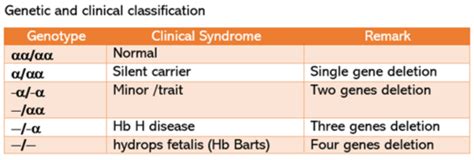 Sba Describe Sickle Cell Anaemia Thalassemia Spherocytosis