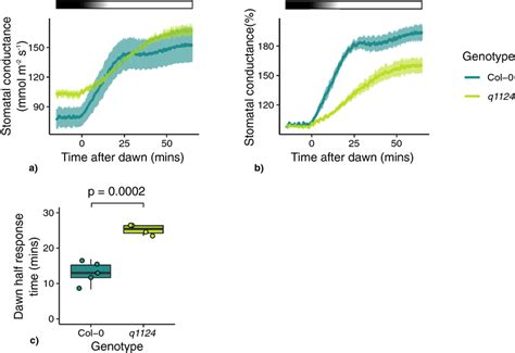 Q1124 Stomatal Conductance Responses At Dawn Stomatal Conductance Of