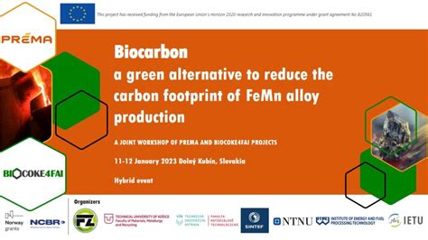 Workshop – BIOCARBON – a green alternative to reduce the carbon ...