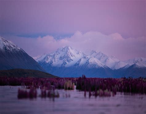 SUMMER ON THE LOFOTEN ISLANDS | Behance