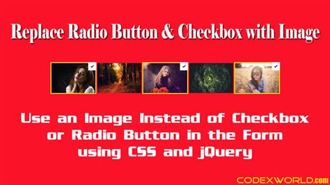 Replace Radio Button And Checkbox With Image Using Jquery Codexworld