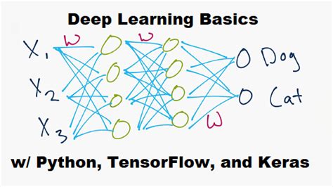 Python Programming Tutorials