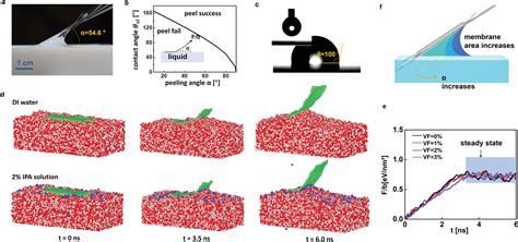 Discovery Of Graphenewater Membrane Structure Toward Highquality