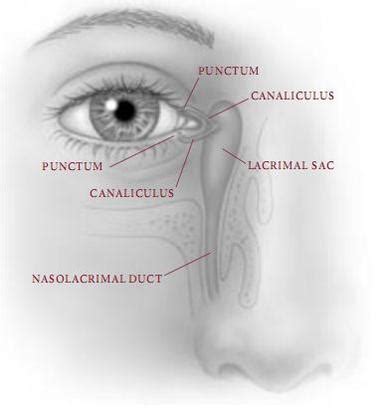 -- Lacrimal Duct Surgery - Swiss Ophthalmologist at Train Station (Tel ...