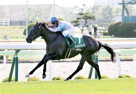 【函館スプリントs】3歳牝馬ナムラクレア 1番人気に応える完勝で重賞2勝目 Umatoku 馬トク