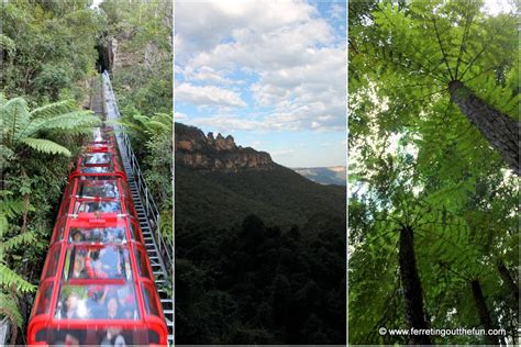 Scenic Railway Blue Mountains - Ferreting Out the Fun