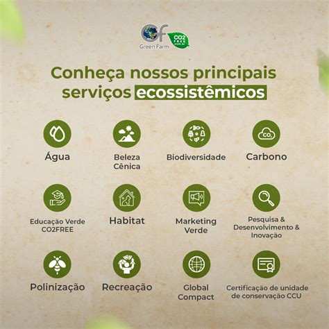 O Que São Serviços Ecossistêmicos - Servicos Ecossistemicos Que Sao Aqueles Beneficios - RETOEDU