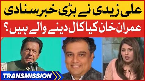 Imran Khan Long March Call Ali Zaidi Inside Story Pti Vs Pmln