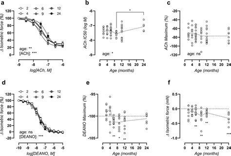 Ageing Induces Slight Endothelial Dysfunction And Increased Basal VSMC